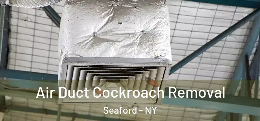 Air Duct Cockroach Removal Seaford - NY