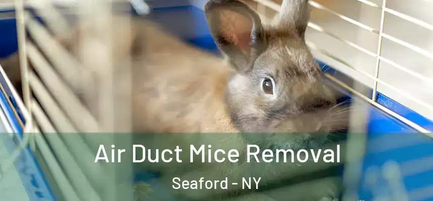 Air Duct Mice Removal Seaford - NY