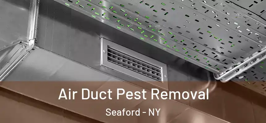  Air Duct Pest Removal Seaford - NY