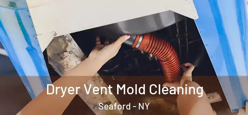 Dryer Vent Mold Cleaning Seaford - NY