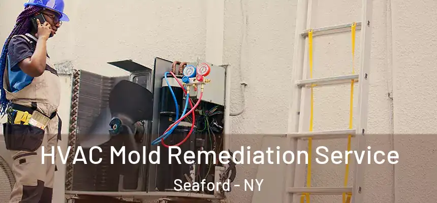 HVAC Mold Remediation Service Seaford - NY