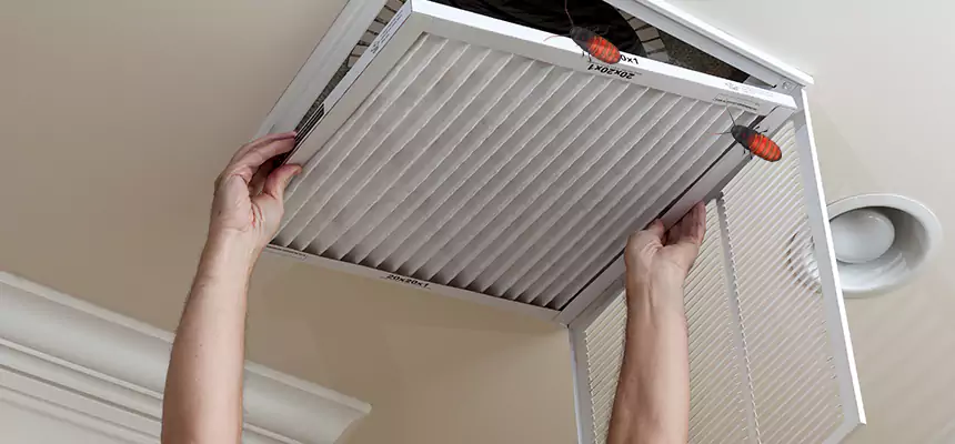 Preventive Cockroach-Proofing for Ducts in Seaford