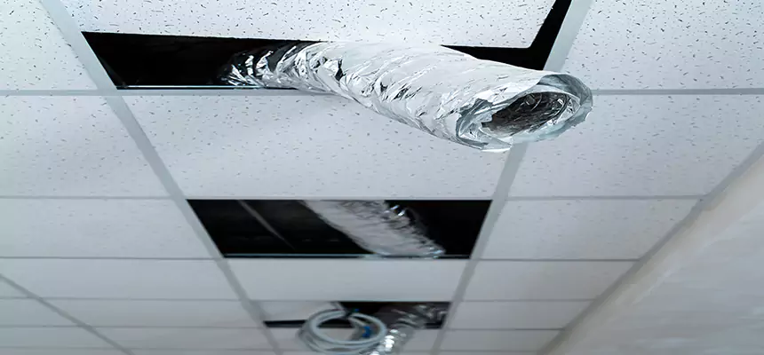 Our Air Duct Pet Hair Removal Services in Seaford, NY