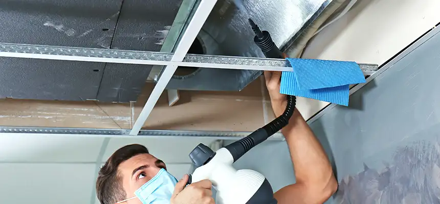 Our Air Duct Rodent Removal Services in Seaford, NY