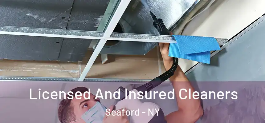  Licensed And Insured Cleaners Seaford - NY