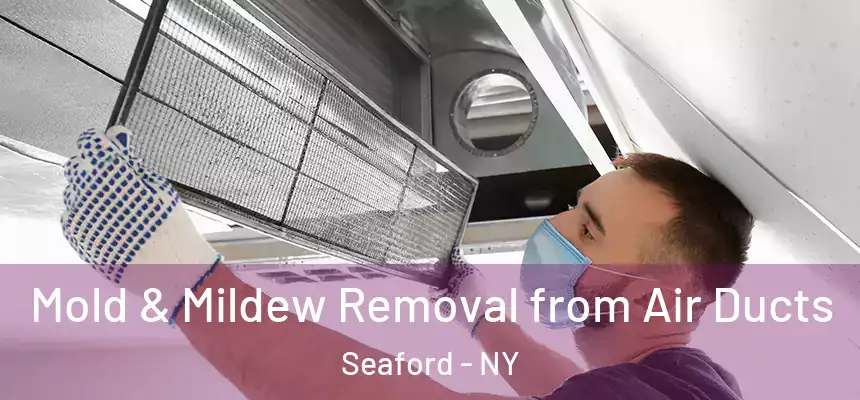  Mold & Mildew Removal from Air Ducts Seaford - NY